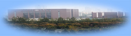 Business Website